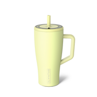 Era 30oz Prickly Pear