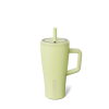Era 20oz Prickly Pear